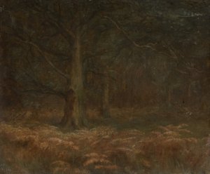 Studio di alberi